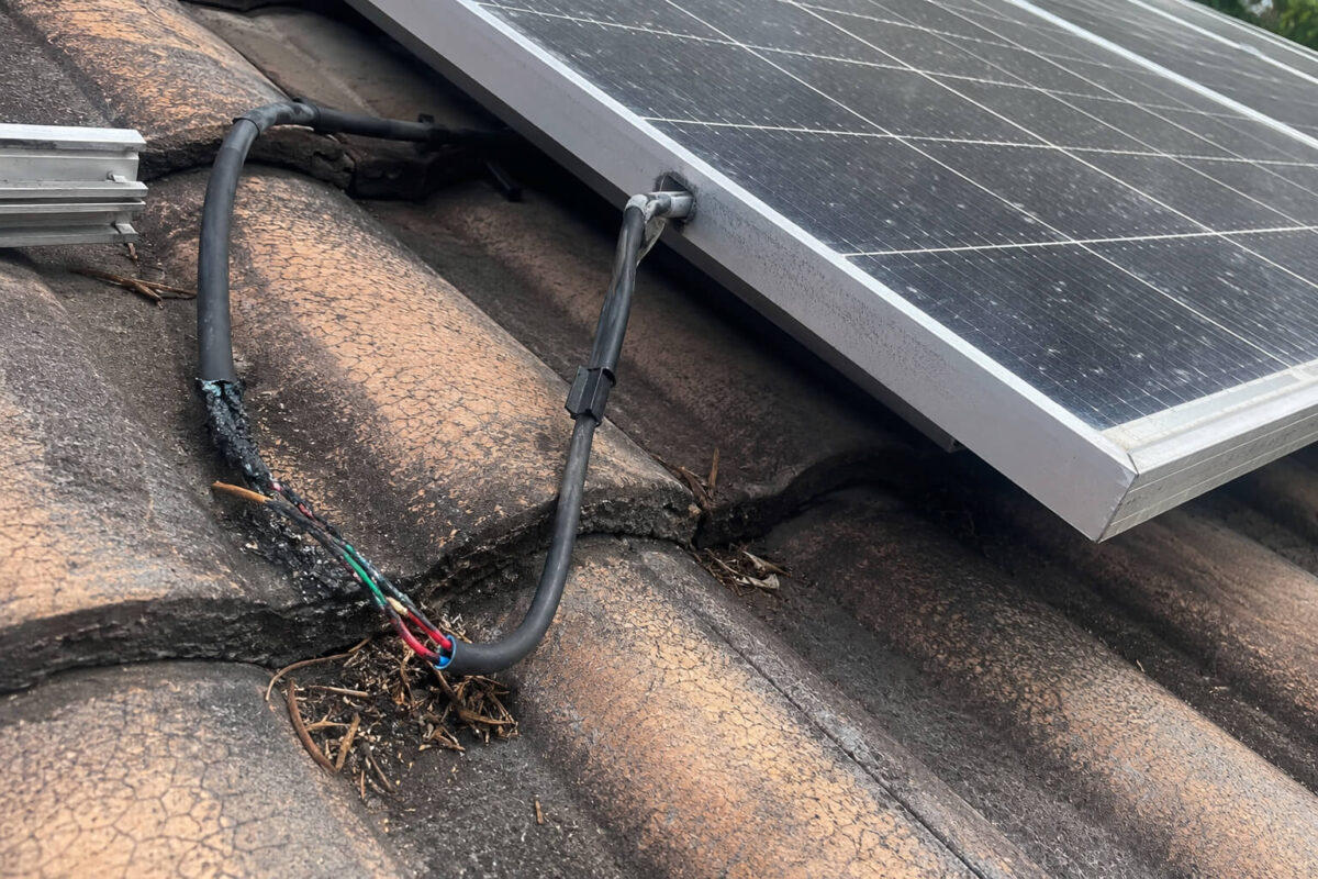 what happens when you get cheap solar in new zealand 1