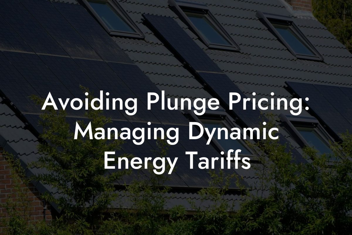Avoiding Plunge Pricing: Managing Dynamic Energy Tariffs