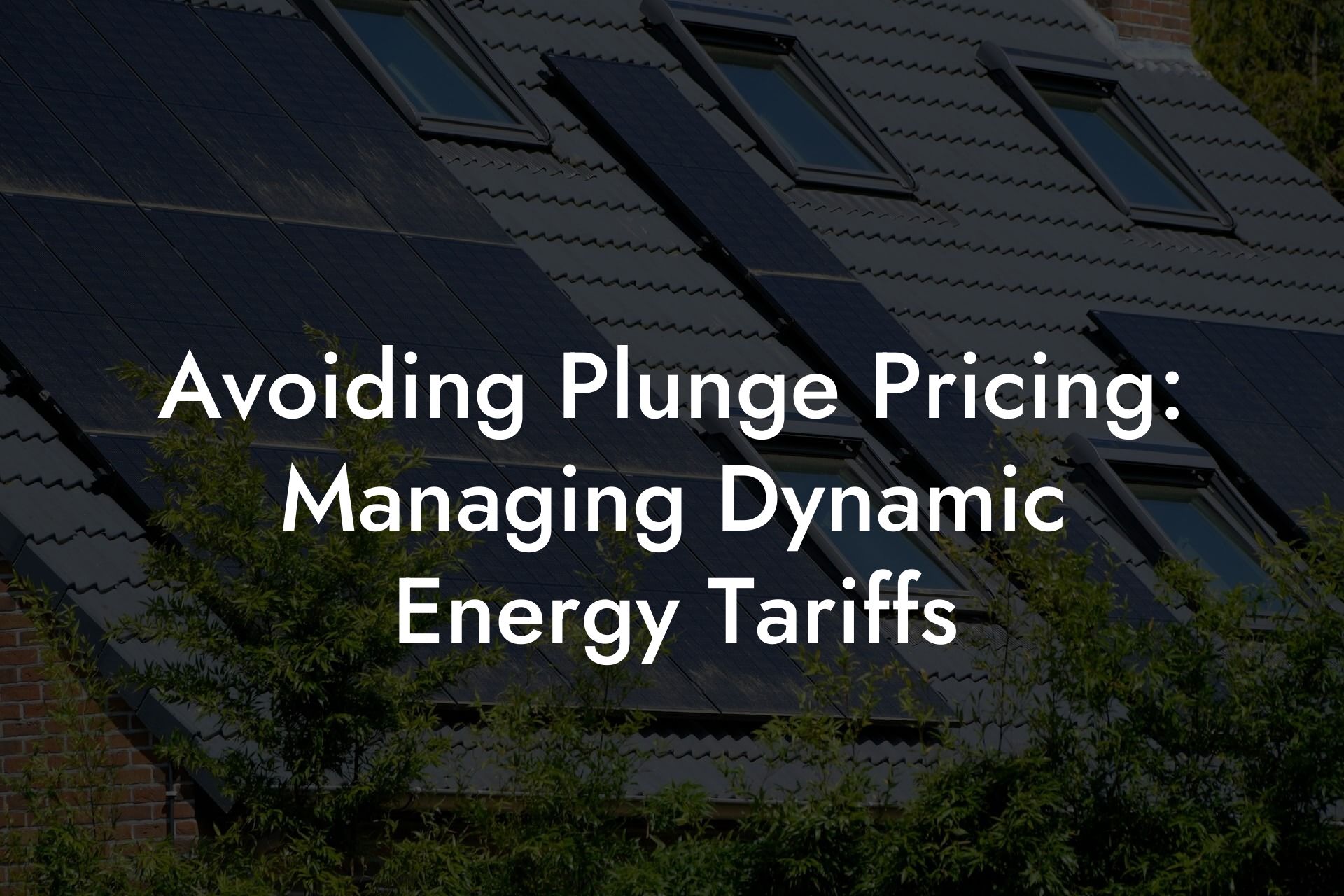 Avoiding Plunge Pricing: Managing Dynamic Energy Tariffs