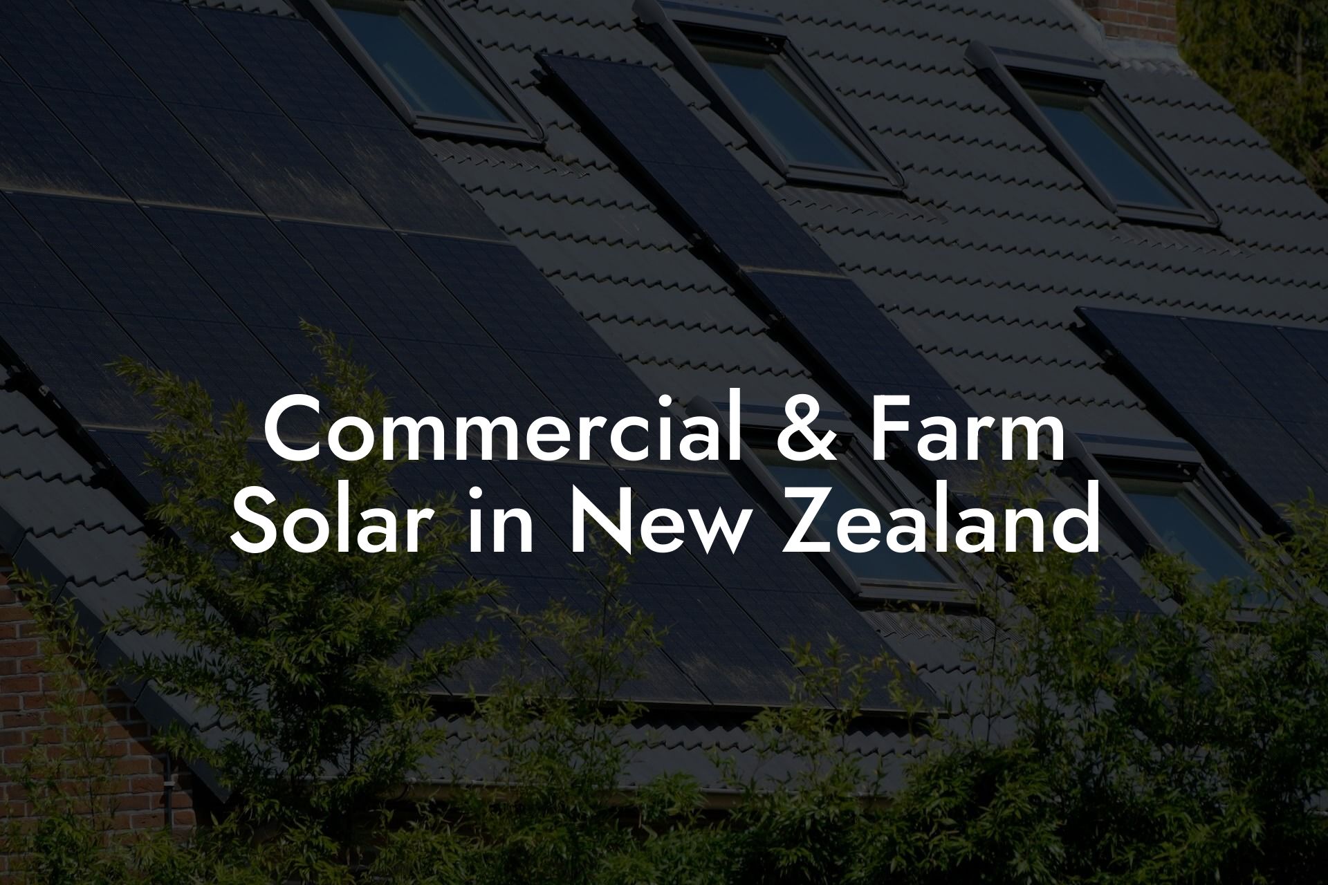 Commercial & Farm Solar in New Zealand