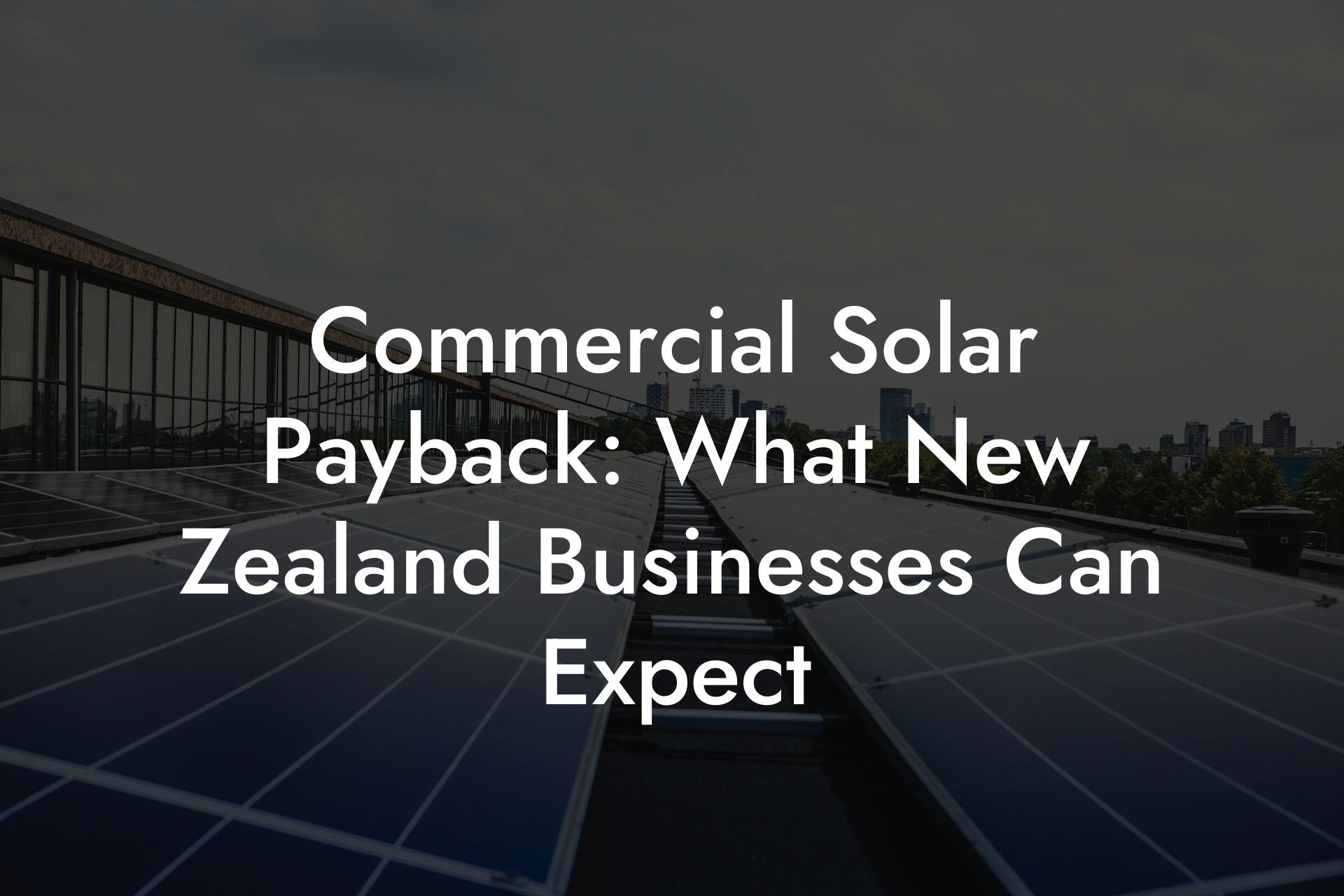 Commercial Solar Payback: What New Zealand Businesses Can Expect