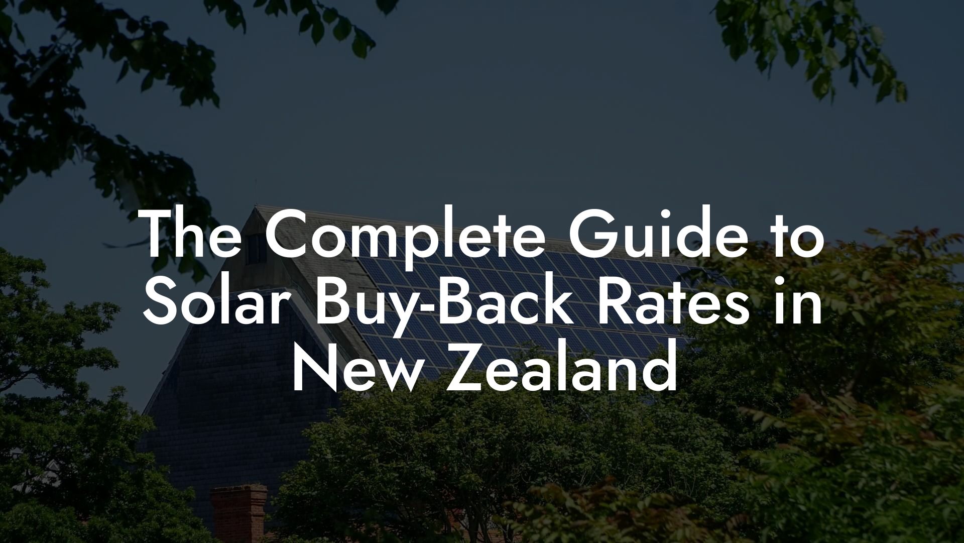 The Complete Guide to Solar Buy-Back Rates in New Zealand