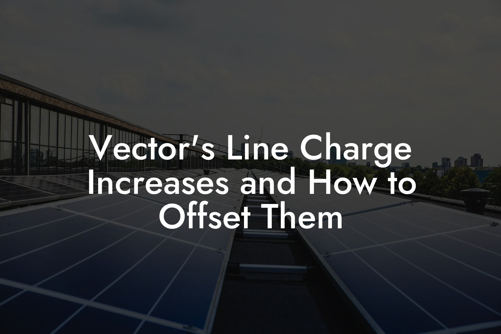 Vector's Line Charge Increases and How to Offset Them
